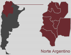 norte argentino